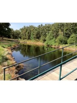 Blast, 125,000 Gallon, 12 Packets -Garden Tools Sales 37425 002v 1