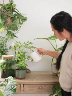 Pinpoint Indoor Watering Can -Garden Tools Sales 3 4 crop 8612963 3774