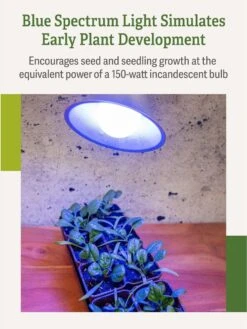 Miracle LED® Grow Light Bulb, Blue -Garden Tools Sales 3 4 crop Miracle Bulb Blue 3