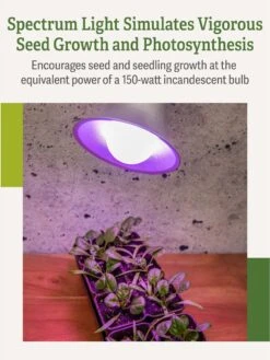 Miracle LED® Grow Light Bulb, Red And Blue -Garden Tools Sales 3 4 crop Miracle Bulb RB 3