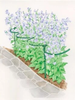 Tidy Path Supports -Garden Tools Sales 8588403 003 1