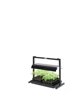 LED SunLite® Compact Tabletop Garden 7 LED SunLite® Compact Tabletop Garden -Garden Tools Sales 8595555 10136 tif
