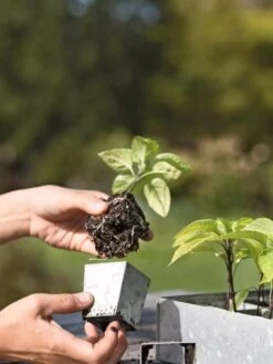 Galvanized Seed Starting Tray -Garden Tools Sales 8595893 4378 tif