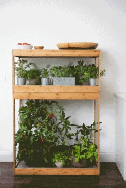 Bamboo Home LED Grow Light Garden 16 Bamboo Home LED Grow Light Garden -Garden Tools Sales 8598088 BambooLEDHomeGarden light gif