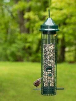 Brome® Squirrel Buster™ Classic Bird Feeder