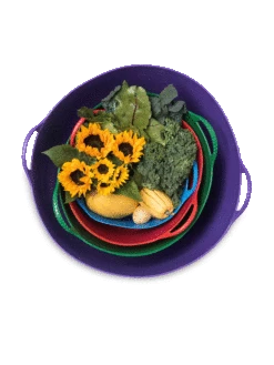 Colorful Tubtrug, 7 Gallon 5 Colorful Tubtrug, 7 Gallon -Garden Tools Sales 8599088 20GalTubTrug gif