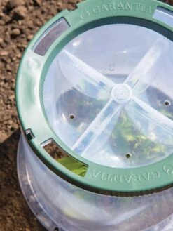 Sunny Forcing Cloches, Set Of 3 -Garden Tools Sales 8600075 0742 tif