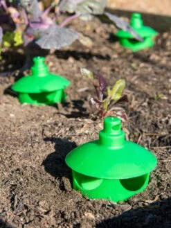 Slug And Snail Traps, Set Of 3 -Garden Tools Sales 8600120 1788