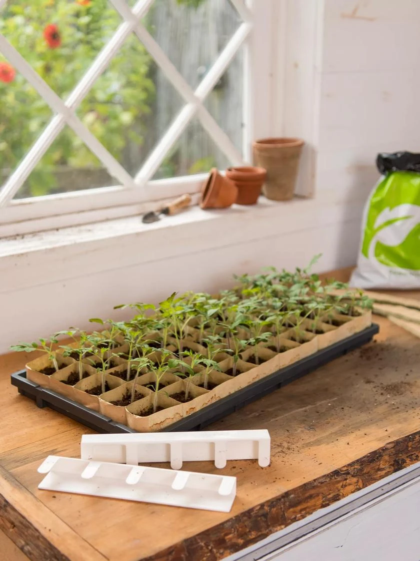 Paper Pots Starter Set 5 Paper Pots Starter Set - Image 5