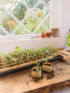 Paper Pots Starter Set 11 Paper Pots Starter Set -Garden Tools Sales 8600273 0307 tif