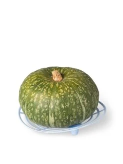 Melon And Squash Cradles, Set Of 6 -Garden Tools Sales 8609464 5204 tif