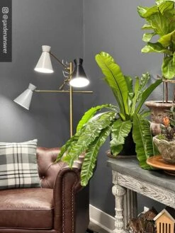 Adjustable 3-Arm Grow Lamp -Garden Tools Sales 8609868 01IN tif