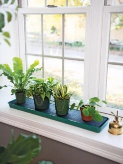 Self-Watering Windowsill Tray -Garden Tools Sales 8609873 9011 tif