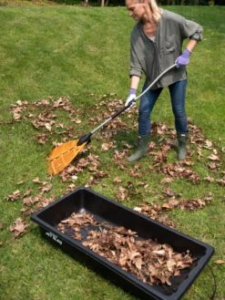 Gardener's Summer Sled 10 Gardener's Summer Sled -Garden Tools Sales 8611047 025 tif