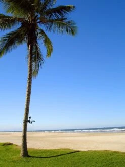 MAXSA® Solar-Powered LED Flag Light -Garden Tools Sales 8611318 02v