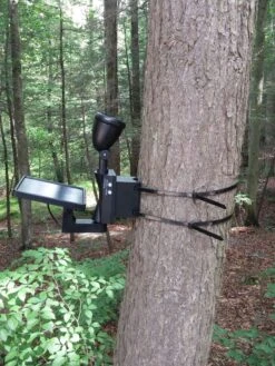 MAXSA® Solar-Powered LED Flag Light -Garden Tools Sales 8611318 03v