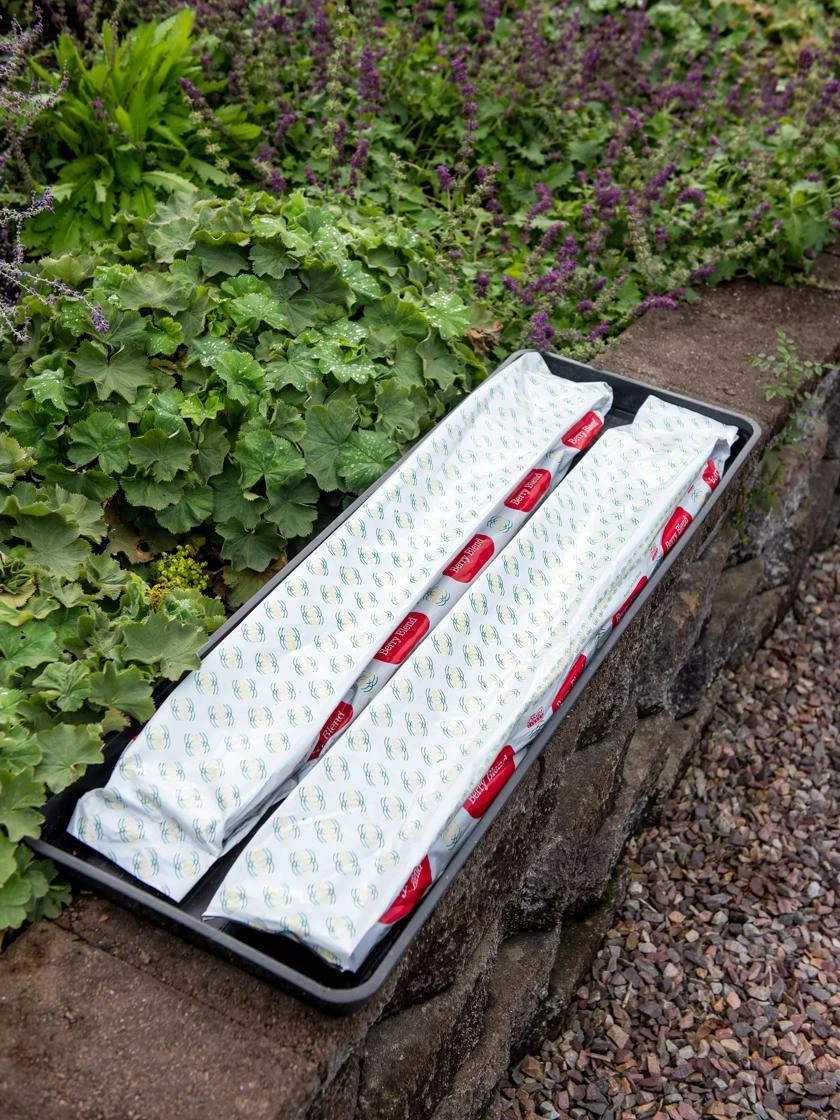 Berry Blend Coir Grow Bag, Set Of 2 1 Berry Blend Coir Grow Bag, Set Of 2