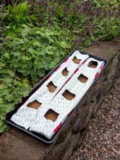 Berry Blend Coir Grow Bag, Set Of 2 6 Berry Blend Coir Grow Bag, Set Of 2 -Garden Tools Sales 8611968 361 tif