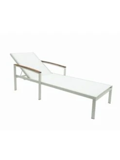 Braylee Reclining Chaise Lounge 15 Braylee Reclining Chaise Lounge -Garden Tools Sales 8612262 08v