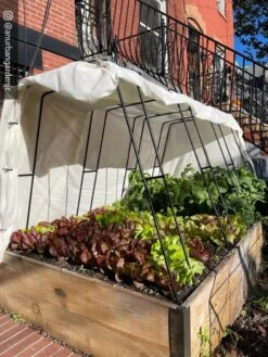 Zenith Garden Hoops, Set Of 4 -Garden Tools Sales 8612816 01CUST 1