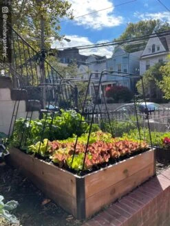 Zenith Garden Hoops, Set Of 4 -Garden Tools Sales 8612816 02CUST