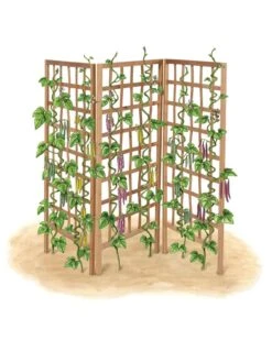 Bamboo Zig-Zag Trellis 24" X 36" -Garden Tools Sales 8613151 art flat