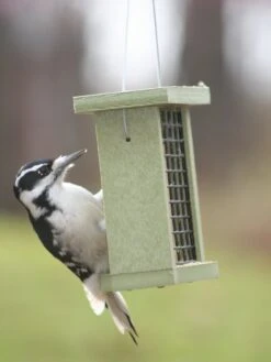 Birds Choice™ Suet Feeder