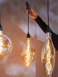 Retro Essence™ Vintage LED Light Bulbs -Garden Tools Sales 8613229 7066