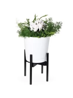 Adjustable Bamboo Plant Stand, Set Of 2