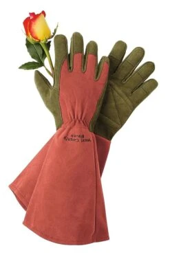 Rose Gloves 5 Rose Gloves -Garden Tools Sales GS36874 01Z tif