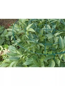 Grow Through Supports, Set Of 3 -Garden Tools Sales GS40172 01 1