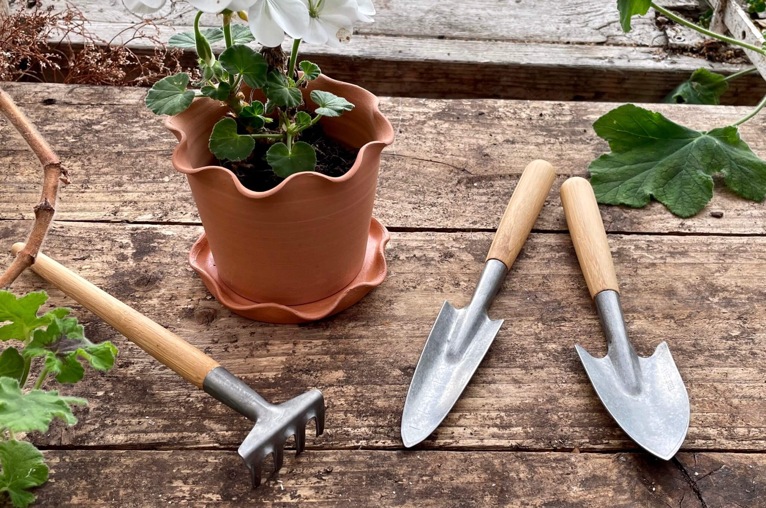 Garden Tools Sales -Garden Tools Sales Mini Tool Set 1 1 scaled 1