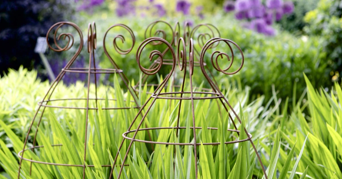 Garden Tools Sales -Garden Tools Sales Plant Belles Shop